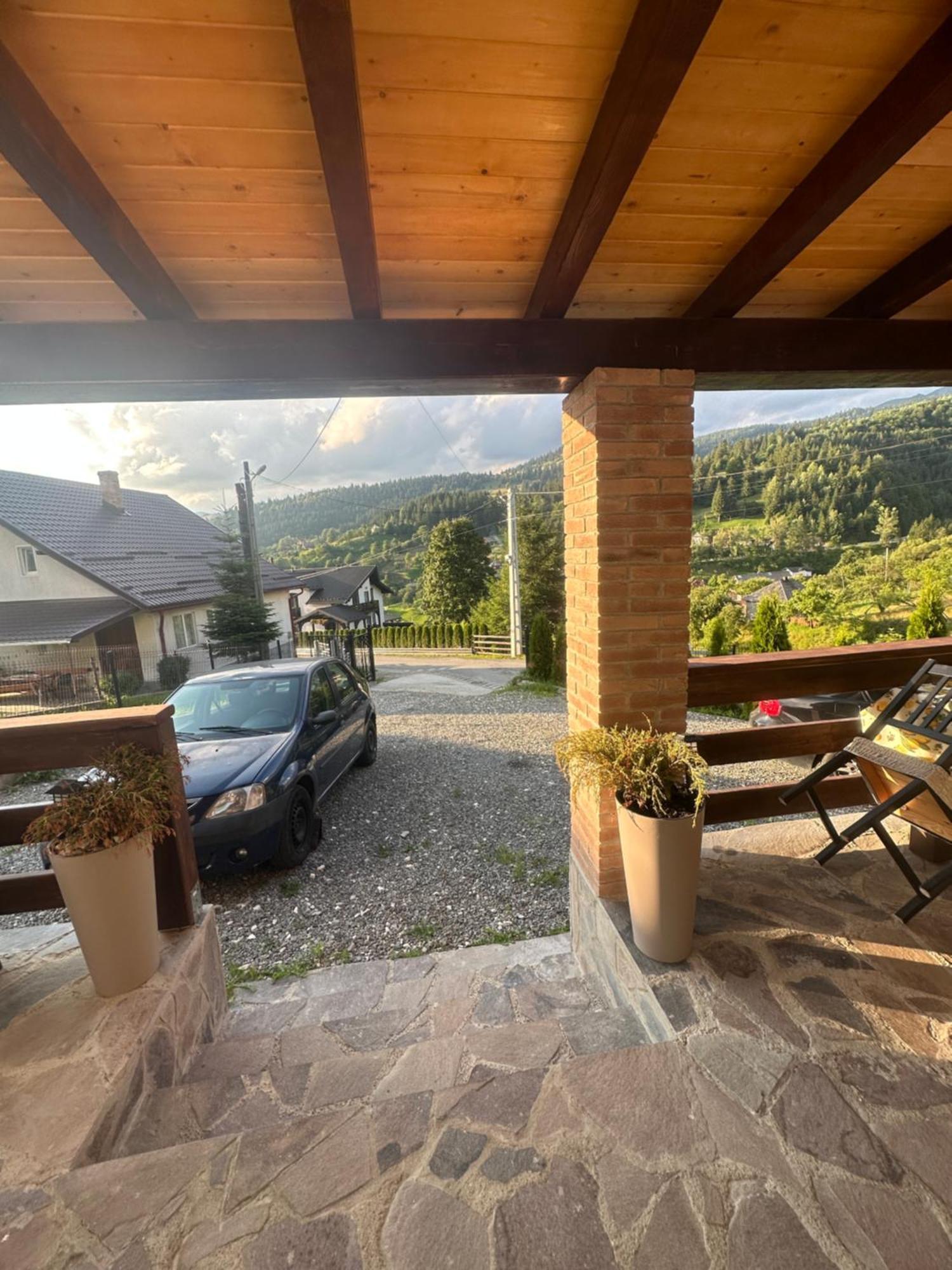 Casa Ika&Matei Villa Borşa Dış mekan fotoğraf