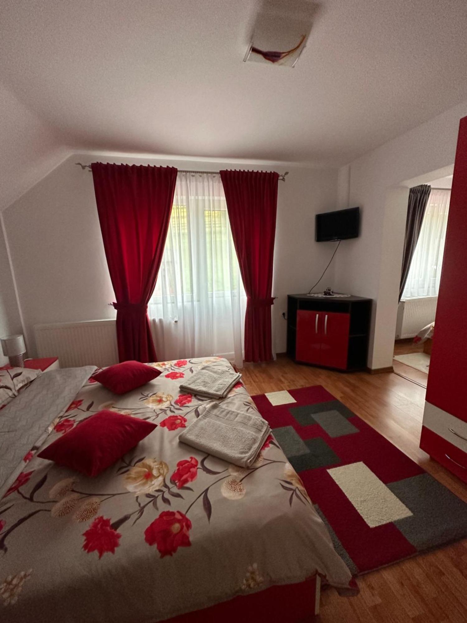 Casa Ika&Matei Villa Borşa Dış mekan fotoğraf