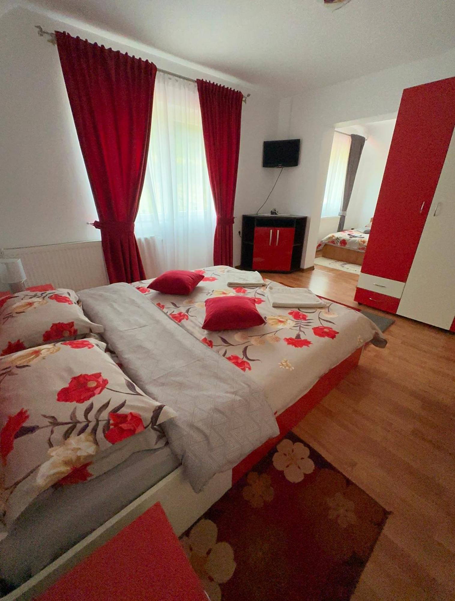 Casa Ika&Matei Villa Borşa Dış mekan fotoğraf